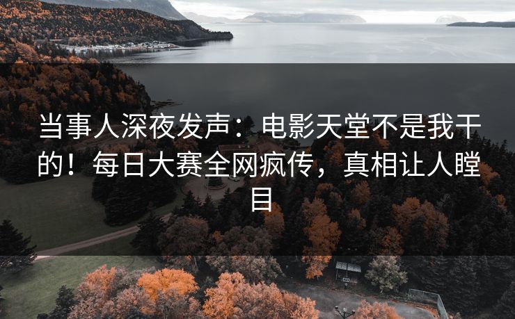 当事人深夜发声：电影天堂不是我干的！每日大赛全网疯传，真相让人瞠目
