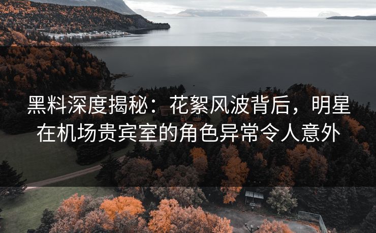 黑料深度揭秘：花絮风波背后，明星在机场贵宾室的角色异常令人意外